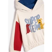 SWEATSHIRTS thumbnail 9