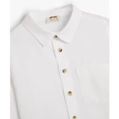 SHIRTS LS - 12
