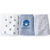 PANTIES BSC thumbnail 6