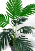 Nettenevime Yapay Ağaç Salon Bitkisi Areka Palmiye Siyah Saksıda 60cm 12 Yaprak Plastik thumbnail 6