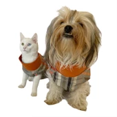 Stripe Orange Su itici Yağmurluk Köpek Yağmurluğu - 8