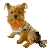 Stripe Orange Su itici Yağmurluk Köpek Yağmurluğu - 10