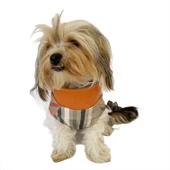 Stripe Orange Su itici Yağmurluk Köpek Yağmurluğu - 3