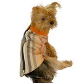 Stripe Orange Su itici Yağmurluk Köpek Yağmurluğu - 1