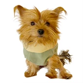 Chamois Su Yeşili Köpekler için Güderi Görünümlü Ceket - 7