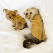 Chamois BB Kahverengi Köpekler için Güderi Görünümlü Ceket - 8