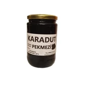 Karadut Pekmezi 865 gr Şekersiz Katkısız 1 Adet - 1