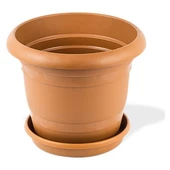 Dünyanın En Acı Biber Tohumu (Trinidat Scorpion) Ekim Seti Sarı Renk 5 Adet Tohum thumbnail 6