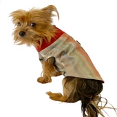 Stripe Bordo Su itici Yağmurluk Köpek Yağmurluğu - 6