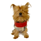 Stripe Bordo Su itici Yağmurluk Köpek Yağmurluğu - 2