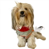 Stripe Bordo Su itici Yağmurluk Köpek Yağmurluğu - 7