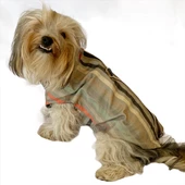 Stripe Bordo Su itici Yağmurluk Köpek Yağmurluğu - 5