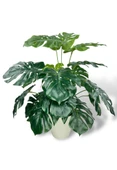 Nettenevime Yapay Çiçek Krem Saksıda Monstera Deve Tabanı Yeşil Doğal Dokulu 18Dal 50cm Salon Çiçeği Yapay Bitki thumbnail 2