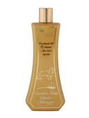 Le Charme Naturel Cavalier King Charles Köpek Şampuanı 370 ml - 1