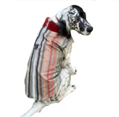 Stripe Bordo Köpek Ceketi, Orta ve Büyük ırklar için - 1