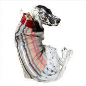 Stripe Bordo Köpek Ceketi, Orta ve Büyük ırklar için - 5