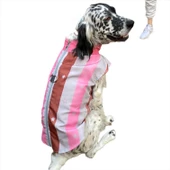 Pink Stars Su İtici Köpek Yağmurluğu , Orta ve Büyük Irklar İçin - 7