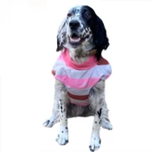 Pink Stars Su İtici Köpek Yağmurluğu , Orta ve Büyük Irklar İçin - 1