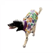 Flower Power Su İtici Köpek Yağmurluğu , Orta ve Büyük Irklar İçin - 6