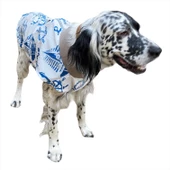 Blue Nautica Su İtici Köpek Yağmurluğu ,Orta ve Büyük Irklar İçin - 5