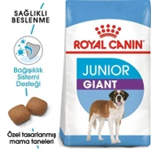 Royal Canin Giant Junior Yavru Kuru Köpek Maması 15 Kg - 2