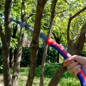 WORKPRO WP333003 250mm Katlanabilir Profesyonel Ağaç Budama Testeresi - 6