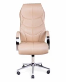 ARON VIP Toprak Deri Yönetici Koltuğu - 3