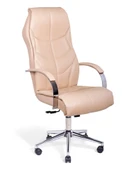 ARON VIP Toprak Deri Yönetici Koltuğu - 2