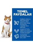 Hill's SCIENCE PLAN Somonlu Kısırlaştırılmış Yetişkin Kedi Maması 8+2 kg - 4