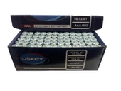 WellHise Uskey Çinko Karbon İnce AAA Pil 60'lı Paket Kumanda Pili - 1