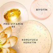 Pantene PRO-V MIRACLES Frizz No More Elektriklenme Karşıtı Şampuan  Kuru ve Kıvırcık Saçlar İçin 325ML - 4