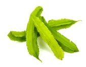 Kanatlı Fasulye Tohumu 3 Adet Tohum thumbnail 1