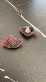 Parlak Siyah Renkli Kırmızı Desenli İstiridye Şekil Epoksi Küpe Gümüş Aksesuarlı El Yapımı thumbnail 2