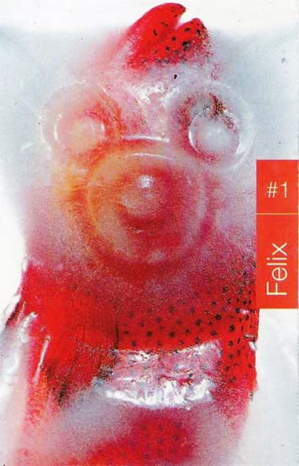 FELIX - #1 (MC) - 1