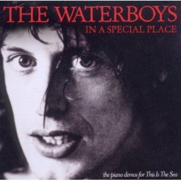WATERBOYS - IN A SPECIAL PLACE (THE PI