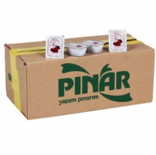Pınar Gurme Piknik Reçel Çilek Koli (144 Adet)
