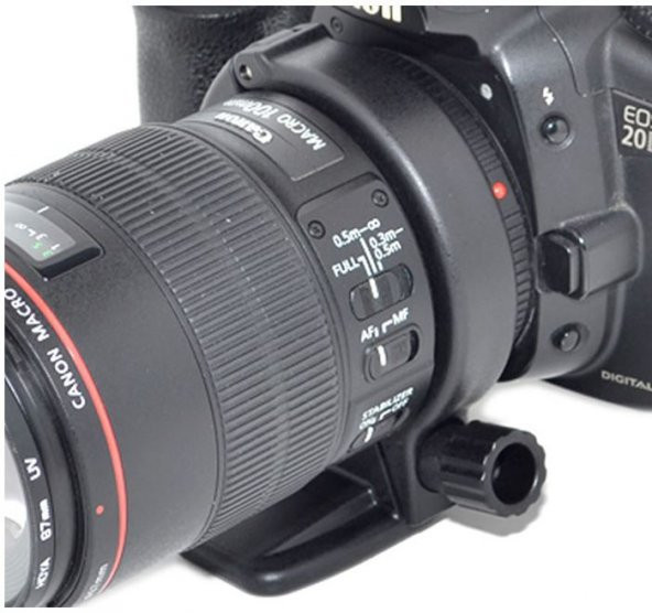 Canon EF 100mm F/2.8L Macro IS USMicin JJC TR-3 Tripod Mount Ring - 5