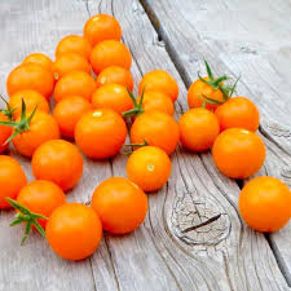 Cherry Turuncu Domates Tohumu Ekim Seti 5 Tohum +Saksı+Toprak - 2