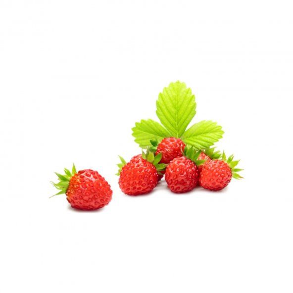 Yayılıcı Dağ Çileği Ekim Seti Çilek Tohumu + Saksı + Toprak