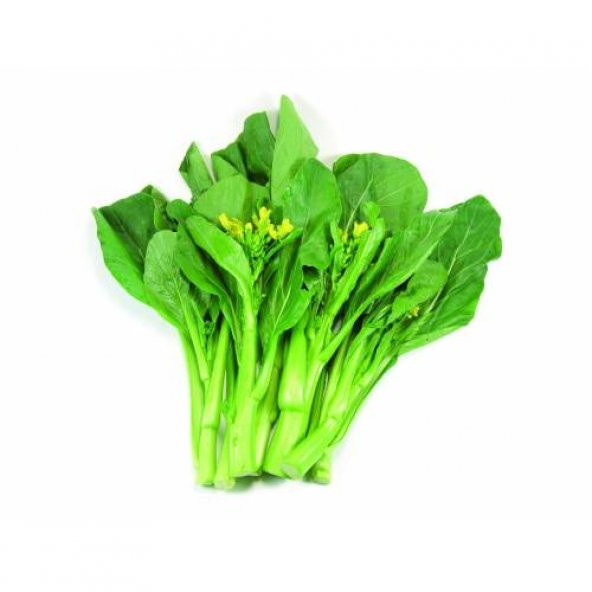 Nadir İthal Çin Brokolisi Tohumu Brokoli Tohumu 20 Tohum + Süpriz
