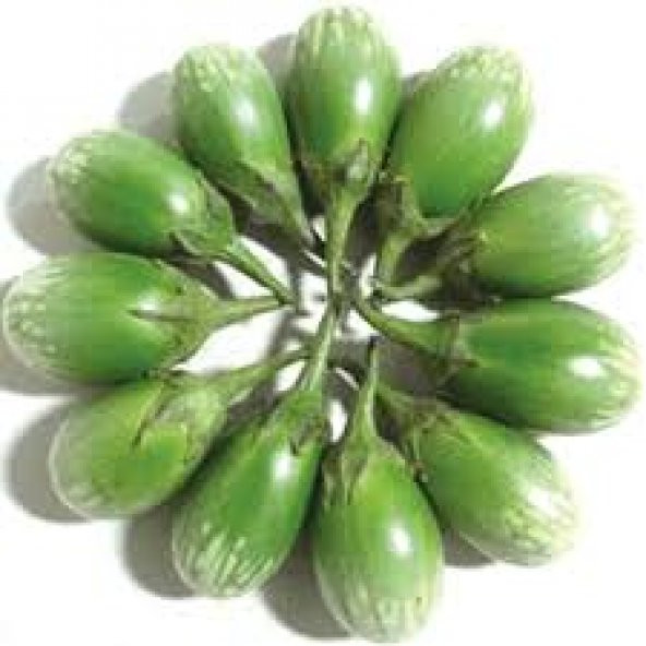 Nadir Yeşil Dolmalık Patlıcan Tohumu Ekim Seti 5 Tohum +Saksı - 2