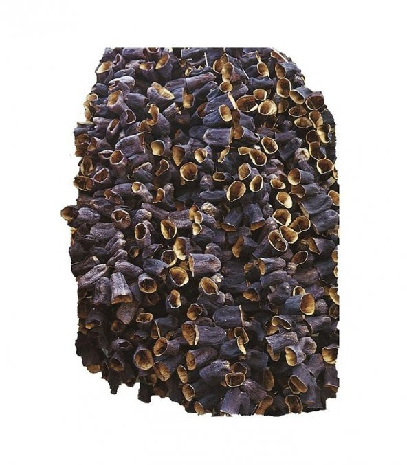 Dolmalık Kurutmalık Antep Patlıcan Tohumu 25 Tohum - 3