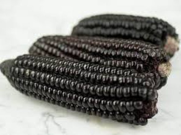 Nadir İthal Mor Mısır Tohumu Bolivya Mısırı Tohumu 3 Tohum - 3