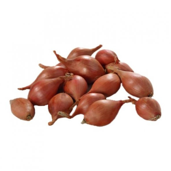40 Adet Kıska Soğan Kıskası Tohum + Süpriz Hediye Tohum