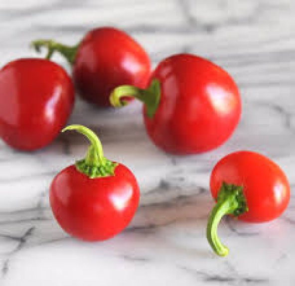 Tatlı Kiraz Biberi Tohumu Ekim Seti 10 Tohum Biber Tohumu +Saksı - 3