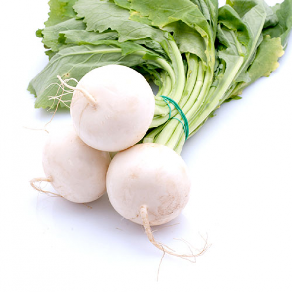 İthal Beyaz Turp Tohumu 50 Tohum + Süpriz Hediye Tohum