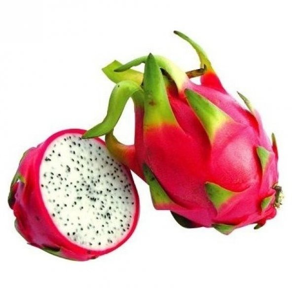 Saksılık Pitaya Tohumu Ekim Seti 5 Tohum + Saksı + Toprak +Hediye - 5
