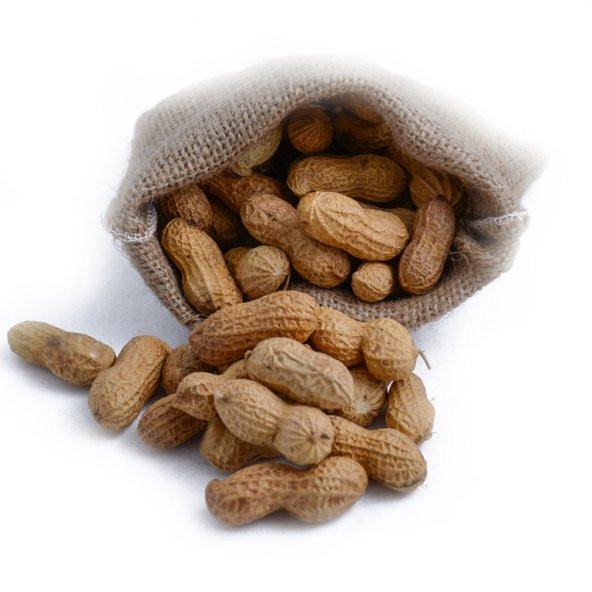 Kabuklu Fıstık 1 kg.