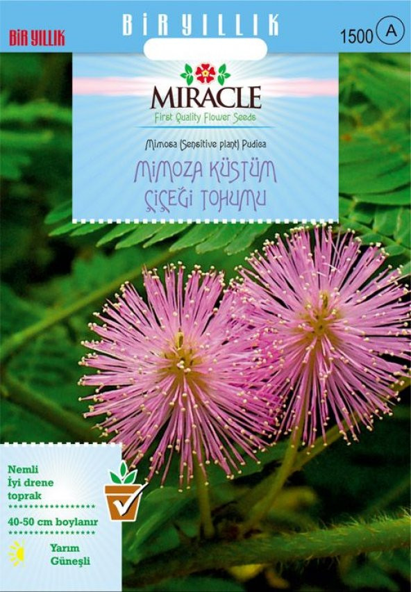 Mimoza Küstüm Çiçeği Tohumu(140 tohum)
