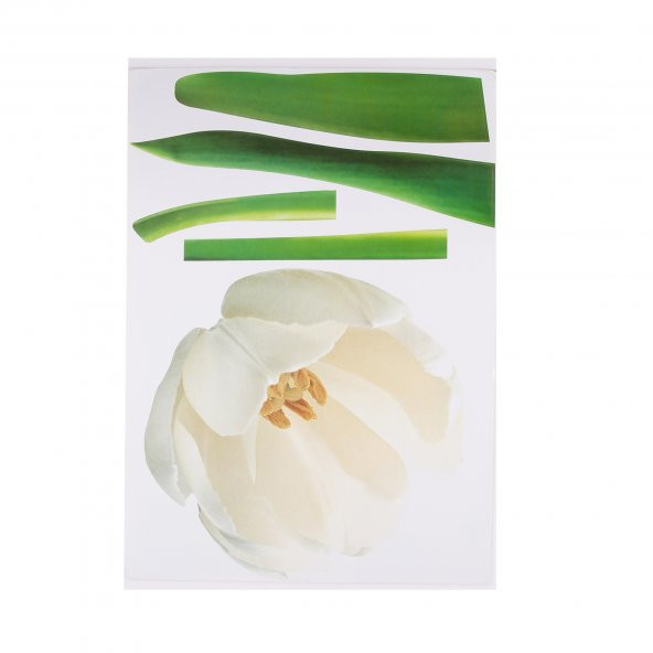 XFG002 DUVAR SÜSÜ ÇİÇEKLİ ŞEFFAF FİLMLİ PVC 70X50X0''5CM